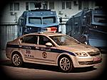 Skoda Octavia III Gomel police Abrex