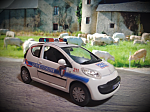 Citroen C1 police municipale PARED Models